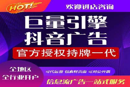 百度SEO与广告结合的多元化推广策略——多行业成功案例